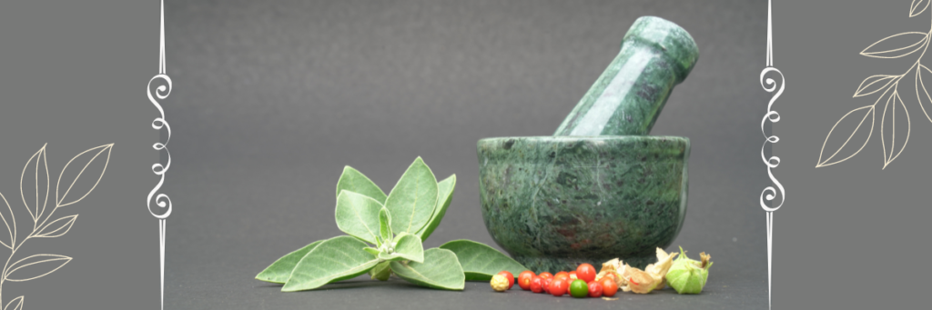 Importance Of Ayurveda In Our Modern Life