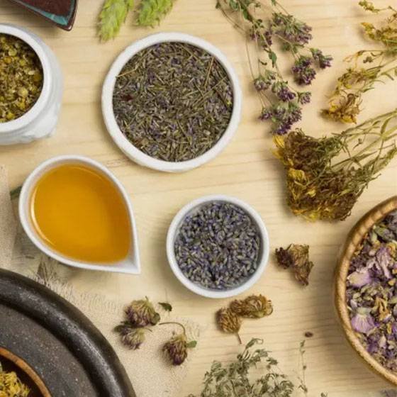 Herbs supplier in india.