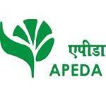 apeda